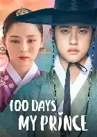 100 Days My Prince poster