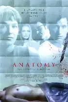 Anatomy poster