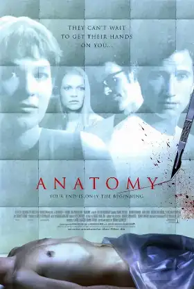 Anatomy poster