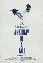Anatomy of a Fall poster