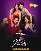 Dil Padosi poster