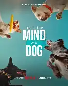 Inside the Mind of a Dog poster