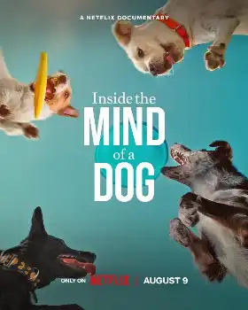 Inside the Mind of a Dog poster