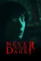 Never After Dark poster