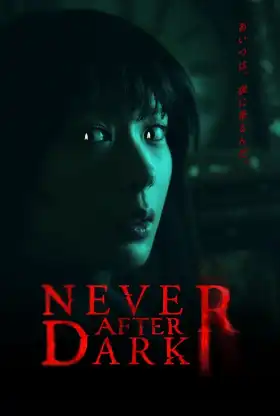Never After Dark poster
