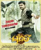 Puli poster