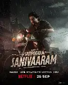 Saripodhaa Sanivaaram poster