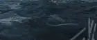 Adrift (2018) Hindi screenshot 5