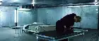 Arena (2011) Hindi screenshot 4