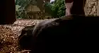Babe (1995) Hindi screenshot 2