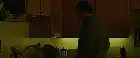 Cascade (2023) Hindi screenshot 1
