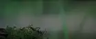 Cascade (2023) Hindi screenshot 4