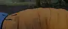 Creatures (2021) Hindi screenshot 2