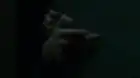 Disturbia (2007) Hindi screenshot 6
