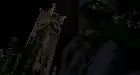 Embrace of the Vampire (1995) Hindi screenshot 5