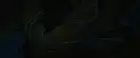Forgotten Island (2026) Hindi screenshot 5