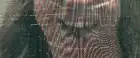Insidious: Out of the Further (2026) English screenshot 4