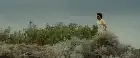 Into the Wild (2007) Hindi screenshot 3