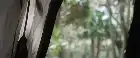 Jungle Run (2021) Hindi screenshot 1