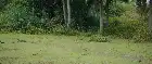 Land Shark (2020) Hindi screenshot 3