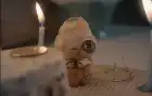 Marcel the Shell with Shoes On (2021) Hindi screenshot 4