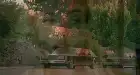 Poison Ivy (1992) Hindi screenshot 5