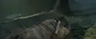Rise of the Conqueror (2026) English screenshot 2