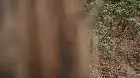 Survive (2021) Hindi screenshot 4