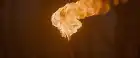 The Cursed (2021) Hindi screenshot 6