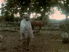 The Legend of Sleepy Hollow (1999) Hindi screenshot 1