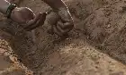 The Seeding (2023) Hindi screenshot 3