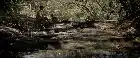 Tomorrow, When the War Began (2010) Hindi screenshot 5