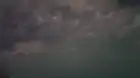 Toxic Shark (2017) Hindi screenshot 5