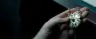 Underworld: Evolution (2006) Hindi screenshot 4