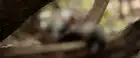 Virupaksha (2023) Hindi screenshot 3